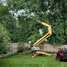 Best Storm Damage Tree Cleanup  in North Seekonk, MA